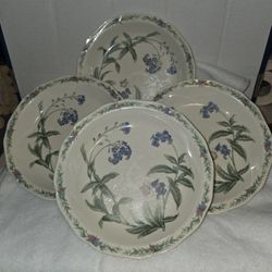 Noritake Gala Cuisine Conservatory Spaghetti/Soup Bowls 