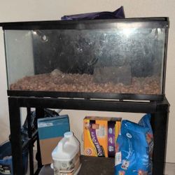 Reptile Tank And Stand
