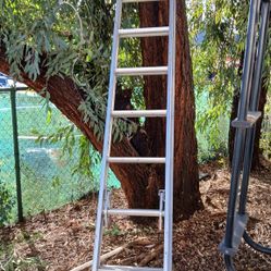 Werner Aluminum 20ft Ext Ladder