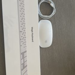 Magic Keyboard And Magic Mouse