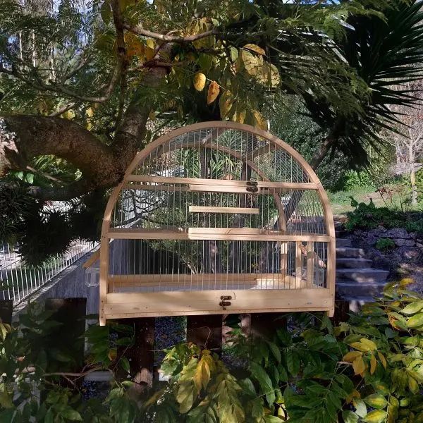 Bird Cage