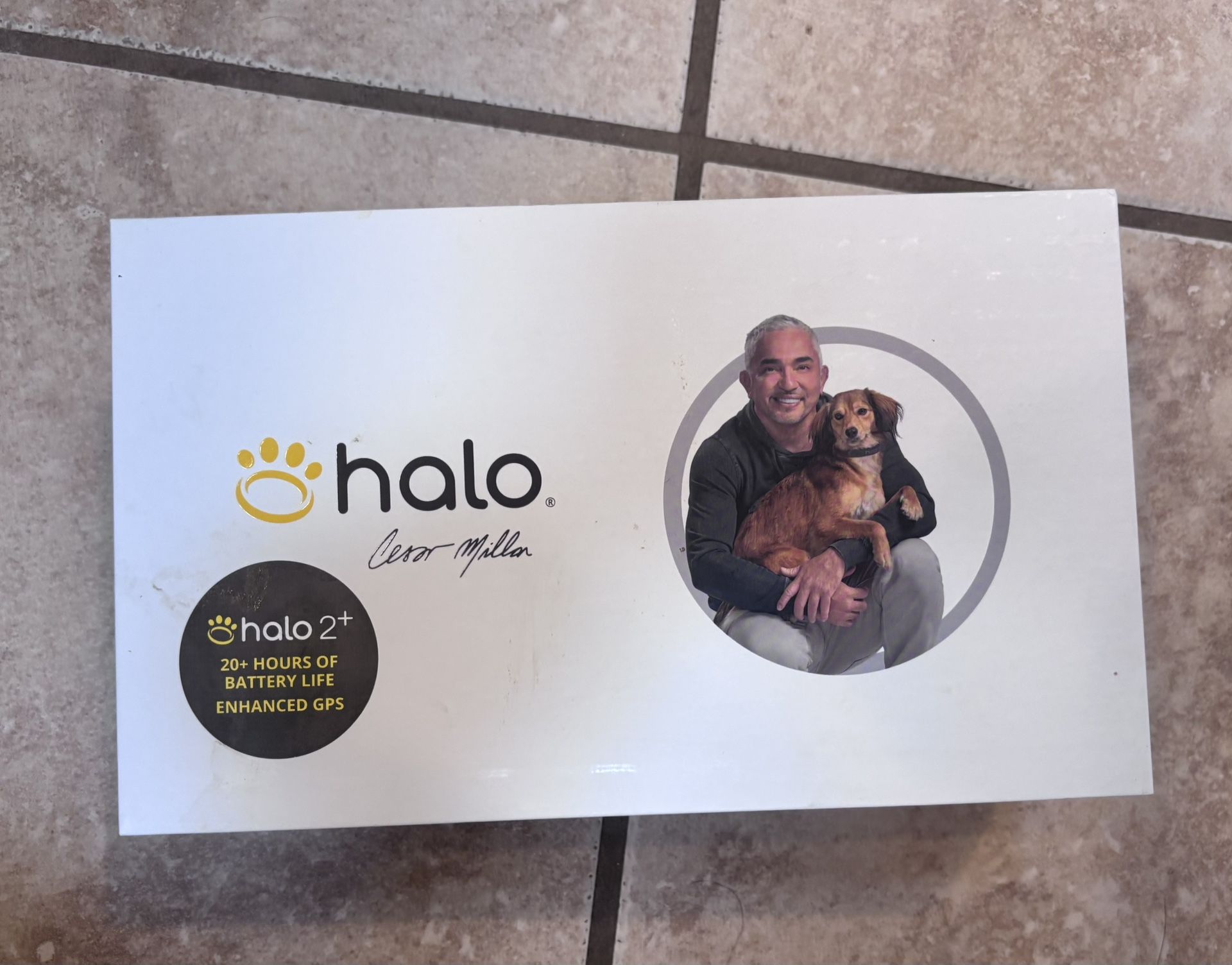 Halo Collar For Dogs