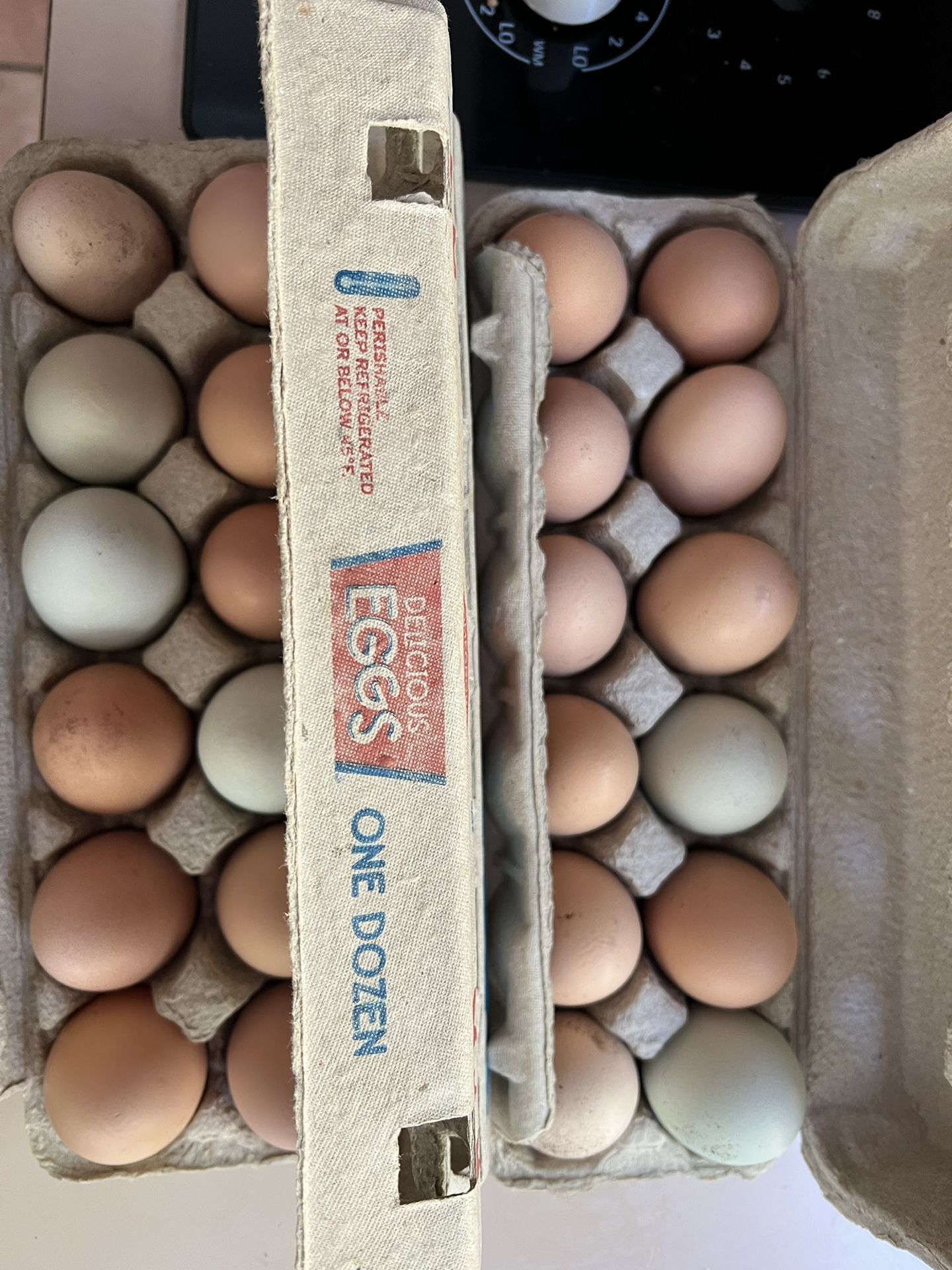 Fresh Free Range Chicken Eggs