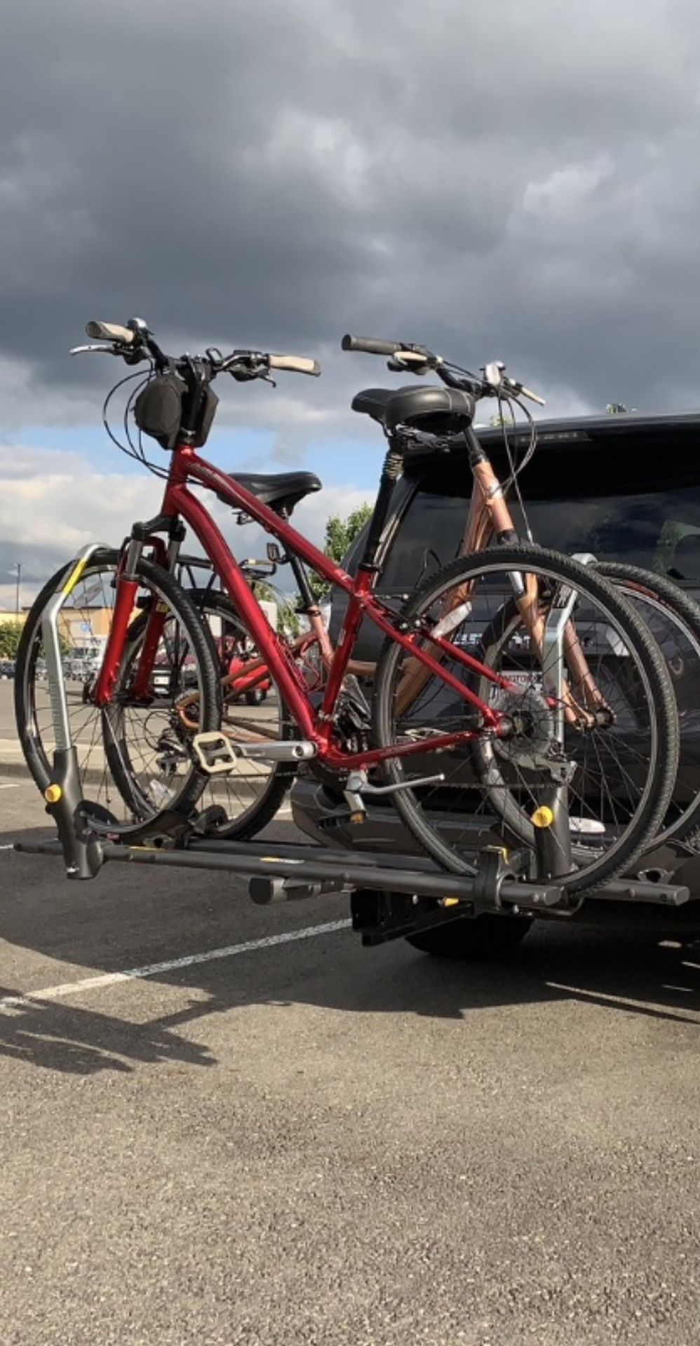Two Globe Specialized Bikes and Saris Bike Rack