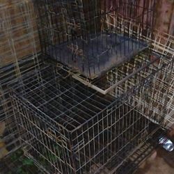 Used Cages 