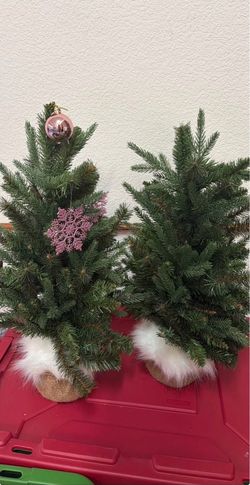 Small Christmas trees