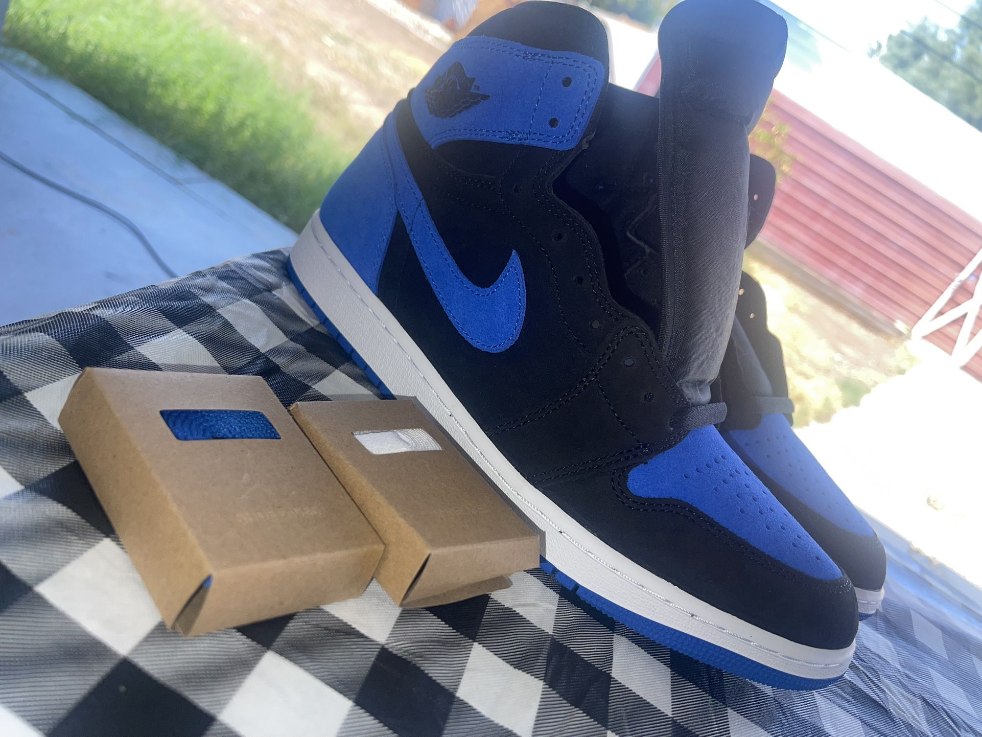 Jordan 1 Royal Size 11