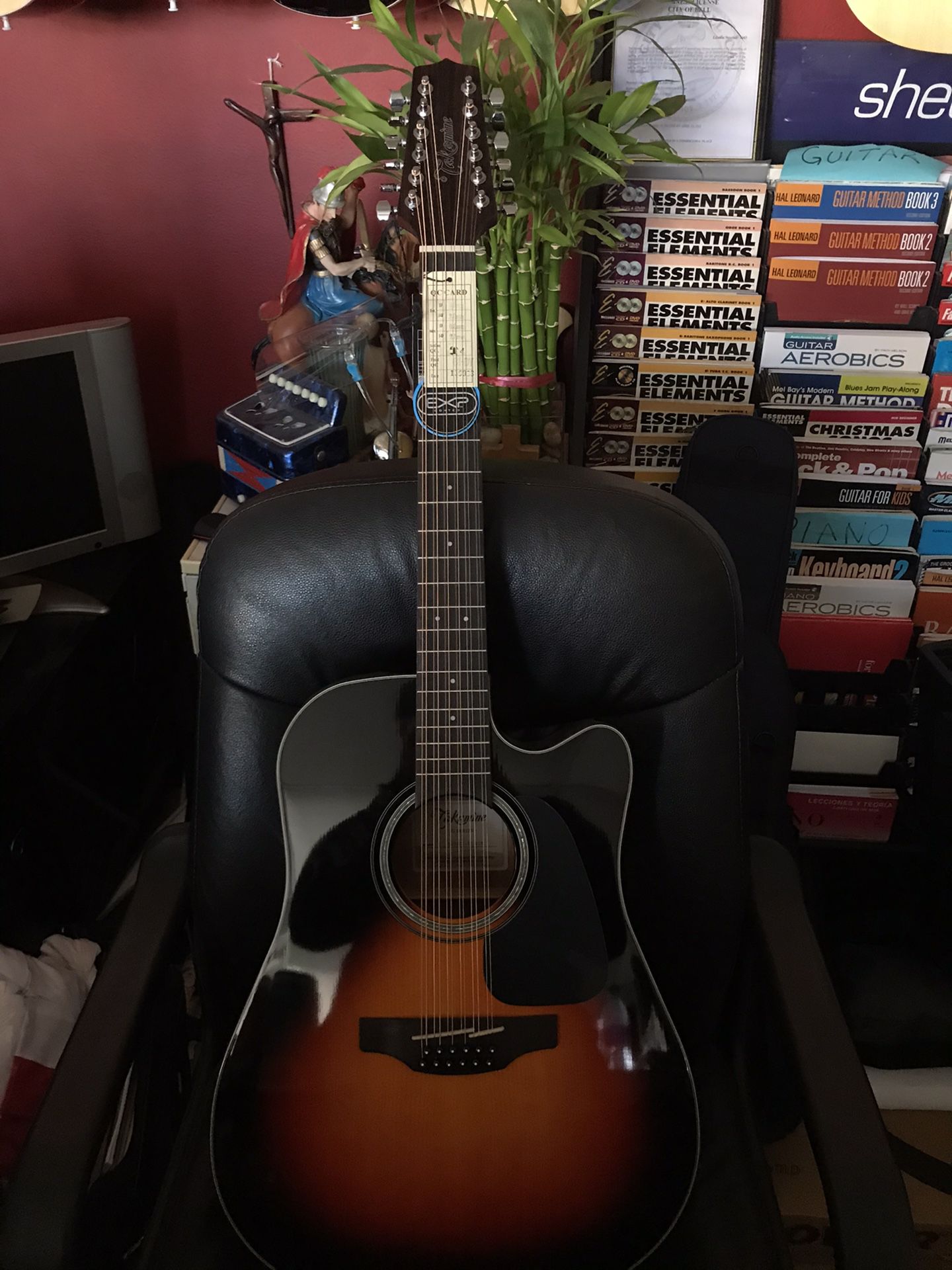 TAKAMINE G SERIES New with free accessories