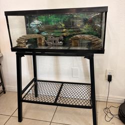 Reptile Tank And Stand 