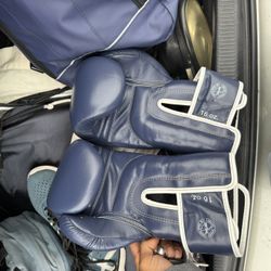 Fairtex Gloves (new) Used Twice 