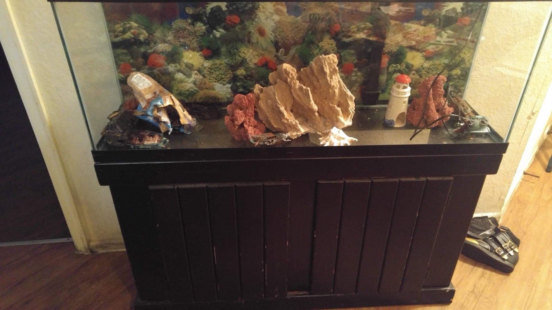 Giant fish tank