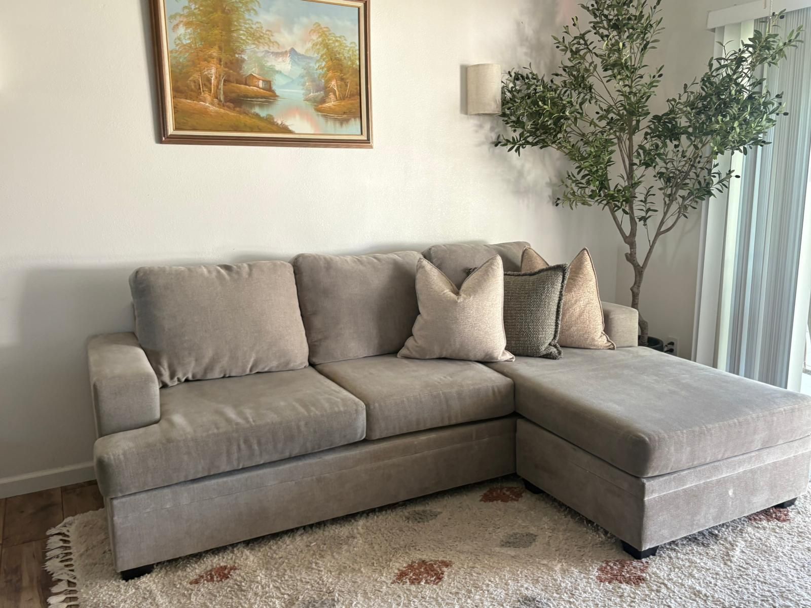 Sectional Couch