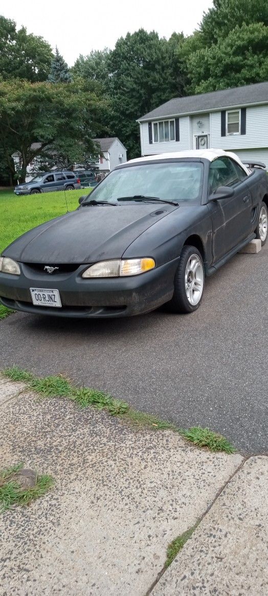 1999 Ford Mustang