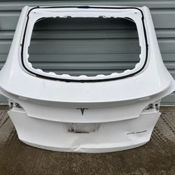 2020-2024 Tesla Model Y Rear Liftgate Hatch Trunk Lid Tailgate 
