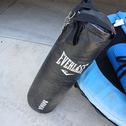 Punching Bag