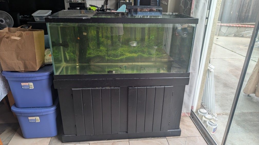Fishtank With Furniture