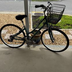Giant cypress Bicycles