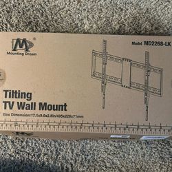 TV Mount 