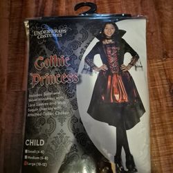 Halloween Costume  Gothic Princess 