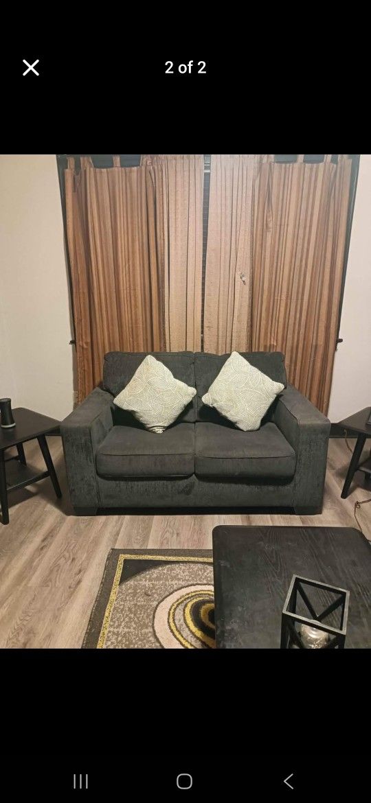 Sleeper Sofa And LOVE SEAT 200$