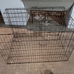 XX Large Dog Kennel