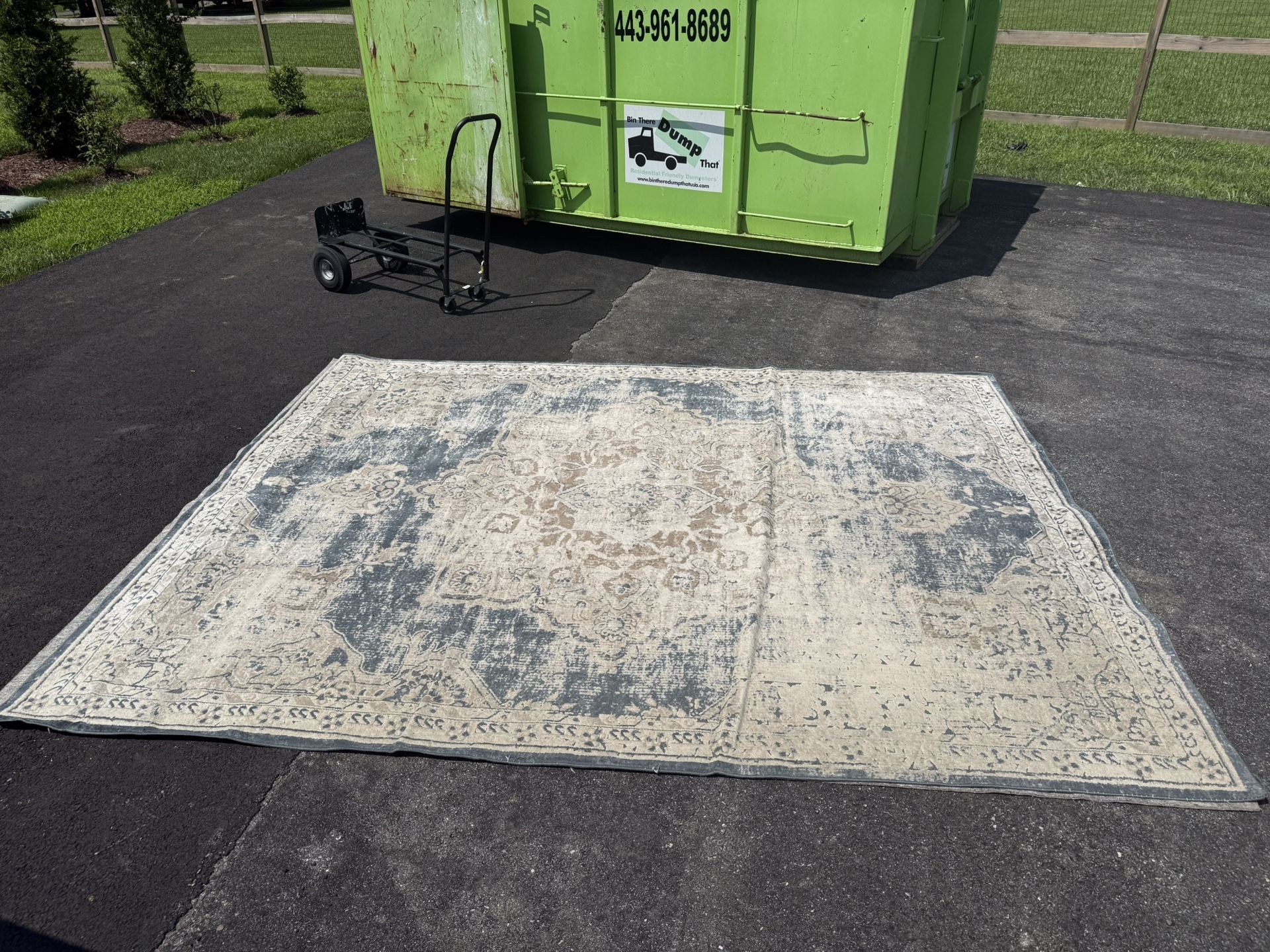 8x10 Indoor Rug With Pad