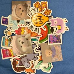 Water Bottle Stickers 
