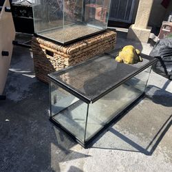 Glass terrarium