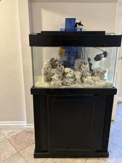 Fish tank