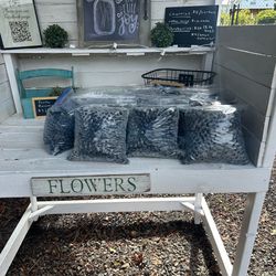 Fresh picked organic blueberries