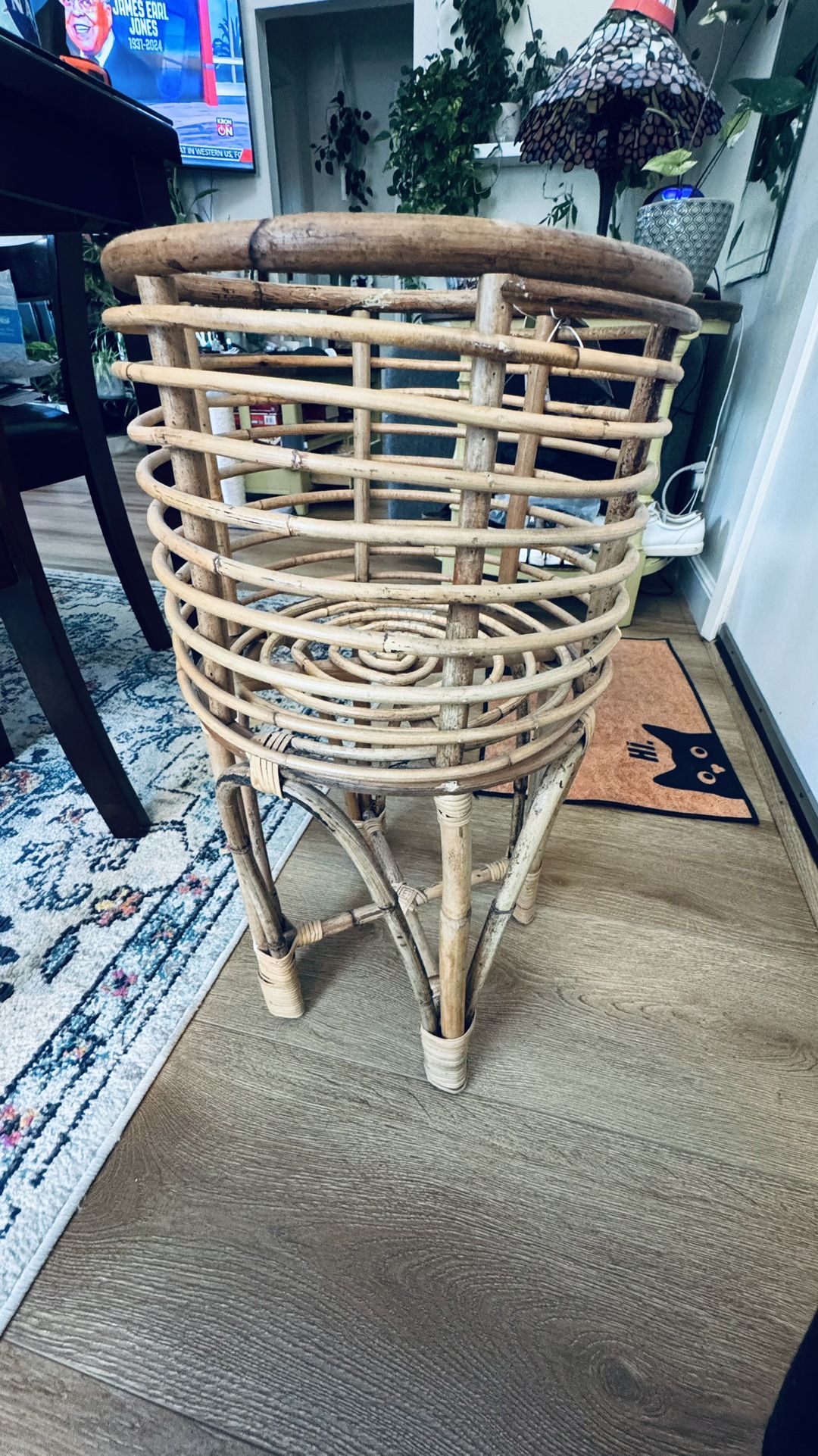 Plant Stand/basket