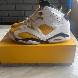 Jordan 6s