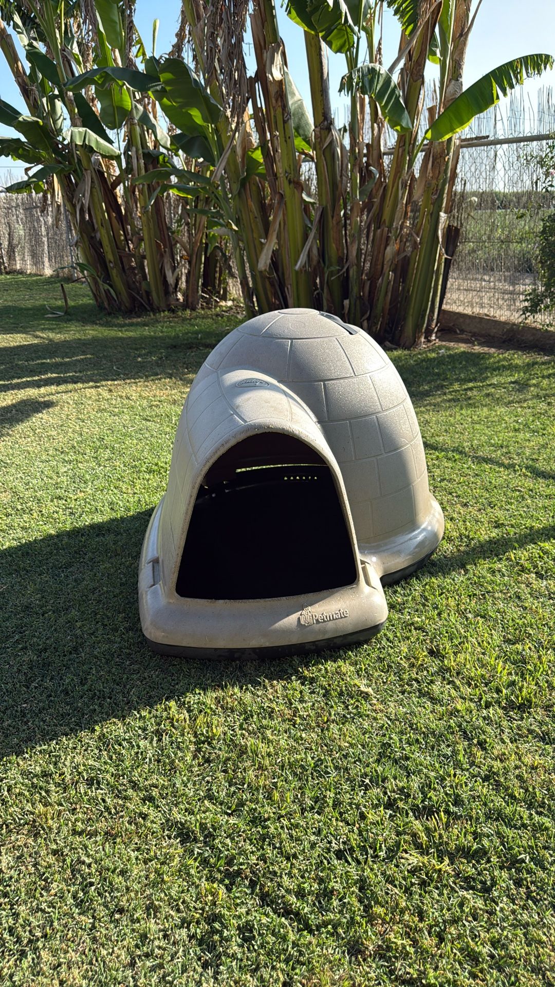 Dog House