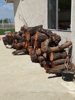Free firewood