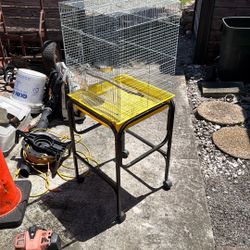  Bird Cage 