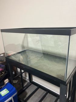 Fish tank