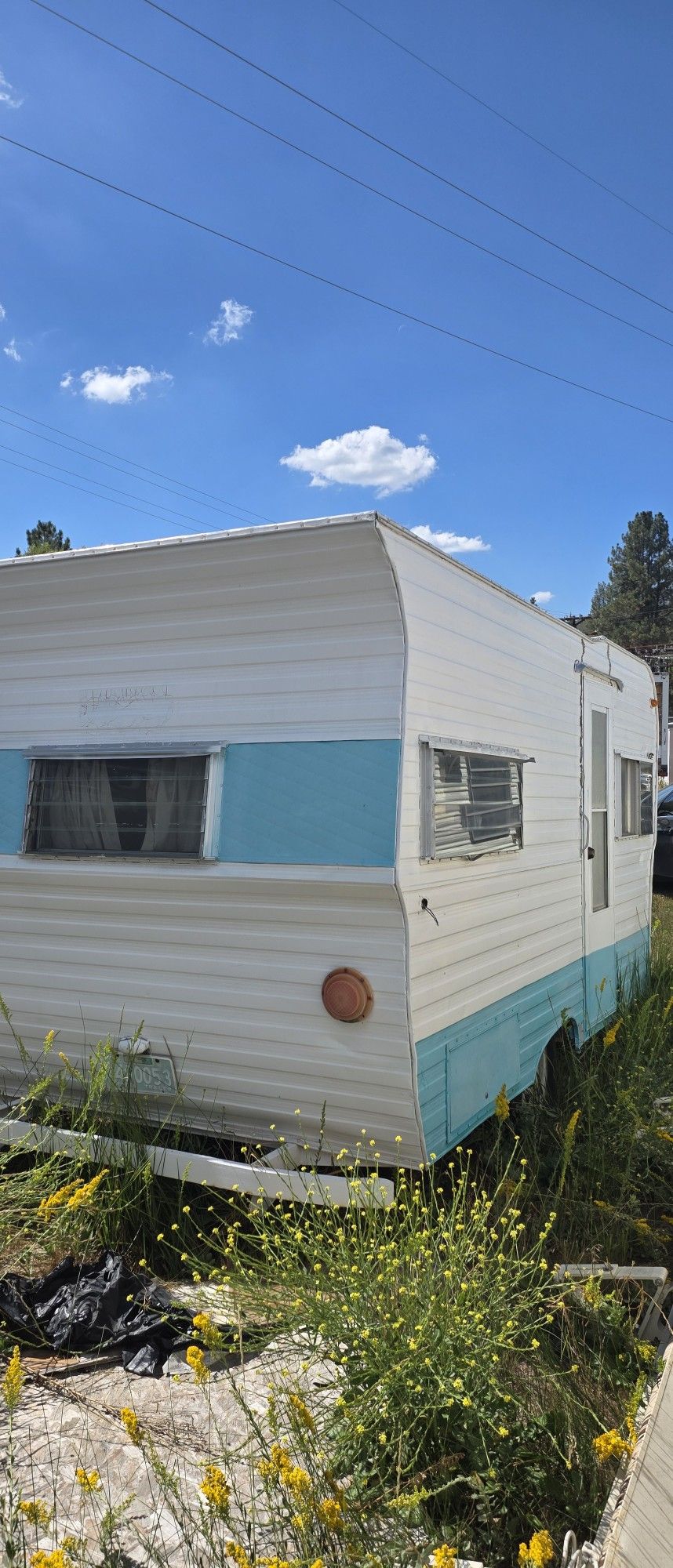 1965 Travel Trailer  Must Sale