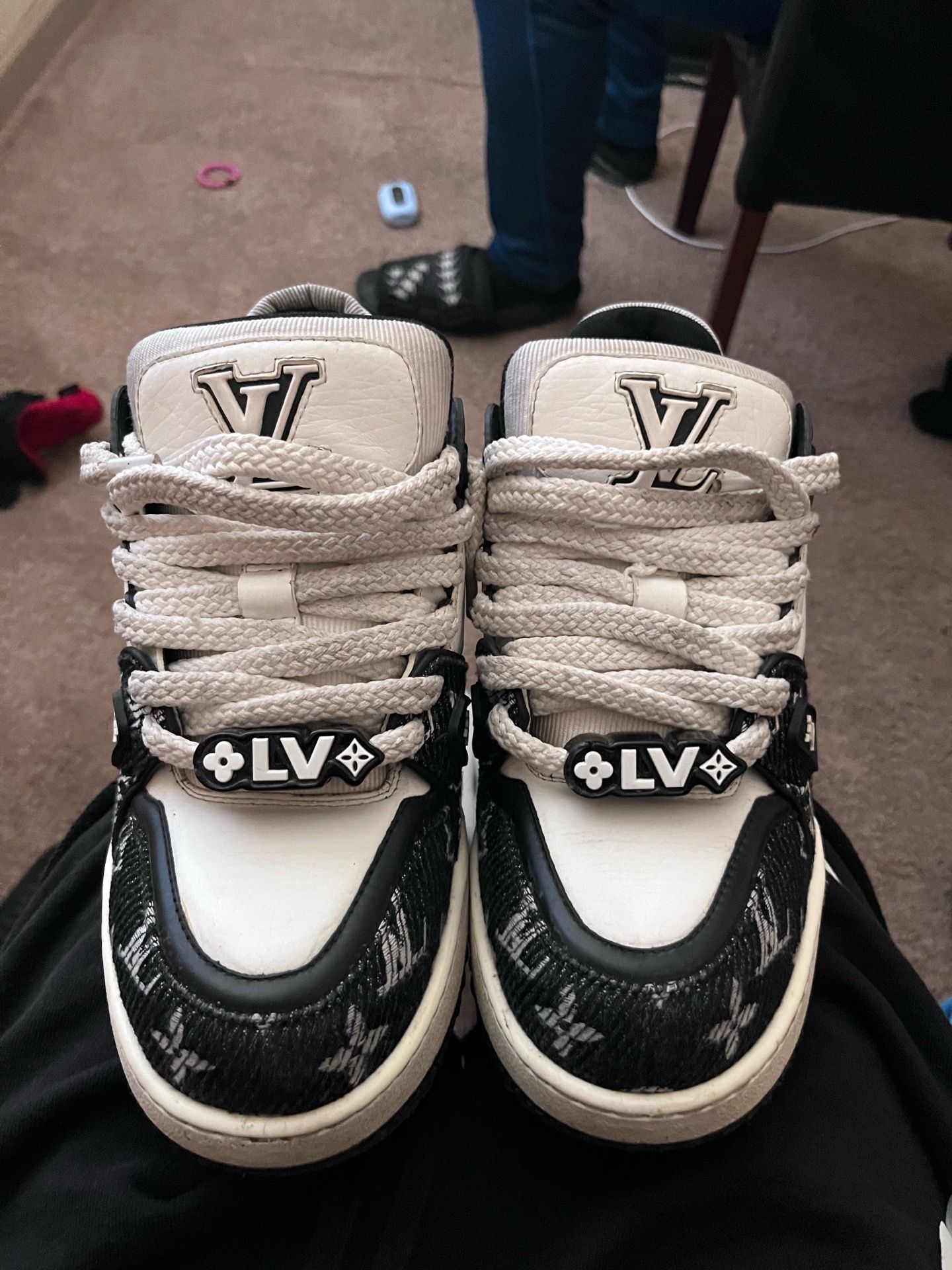 Louis Vuitton skates