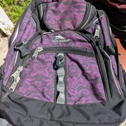 High Sierra Purple Back Pack