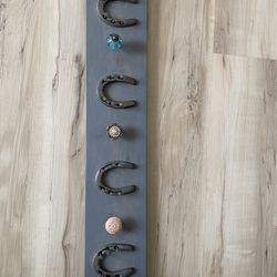 Horse Shoe Wall Art