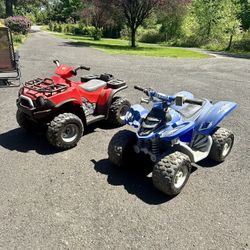 battery powered quads 