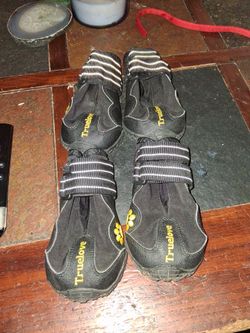 Dog boots