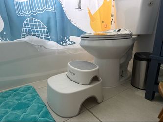 Stepping Stool for potty training