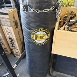 Everlast 100lb Punching Bag