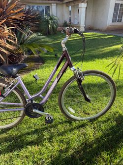 Adult Schwinn Bicycle