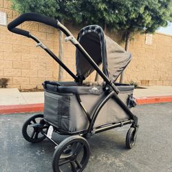 Baby Trend Expedition 2-in-1 Stroller Wagon 