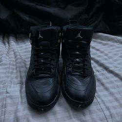 Jordan 12 “ The Master “ Size 9.5