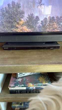 Sony DVD Player With Remote