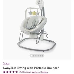 Graco Sway2Me Baby Swing with Portable Bouncer. 