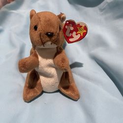 “Nuts” Original Beanie Baby